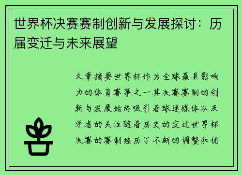 世界杯决赛赛制创新与发展探讨：历届变迁与未来展望